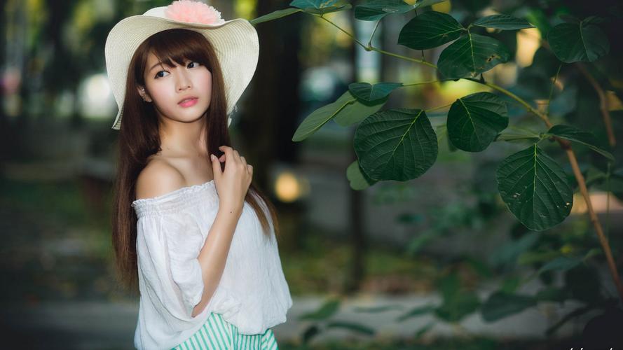 太阳视界软件官网